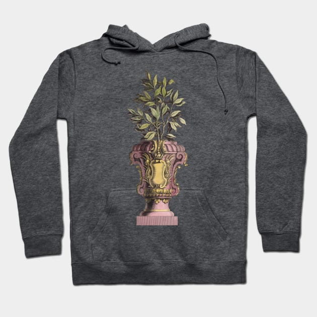 Tuscan Italian Urn with Green Foliage Hoodie by RedThorThreads